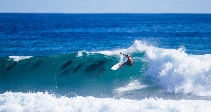  - Duels de surf acharnés au milieu des dauphins