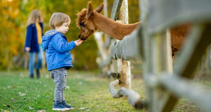  - Son incroyable prénom lui vaut une entrée à vie dans ce parc animalier de Bretagne !