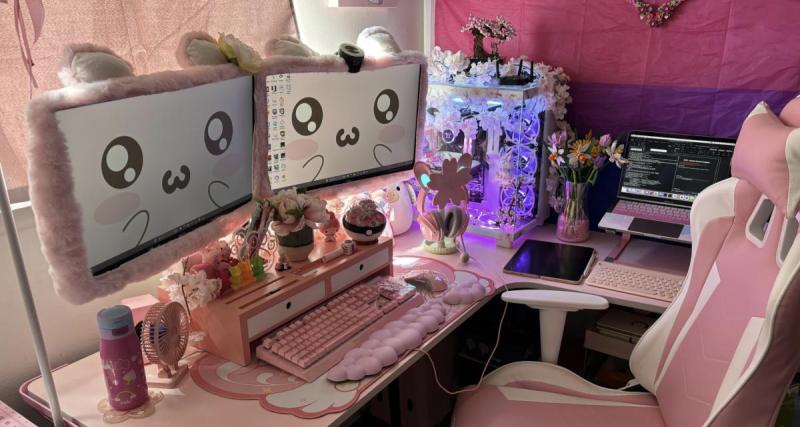  - Comment cette joueuse redéfinit l'esthétique du gaming avec un setup kawaii