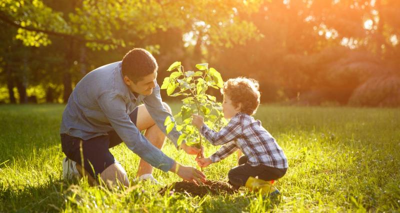  - Voici 5 plantes parfaites à offrir pour la fête des pères, eux aussi méritent des fleurs ! 