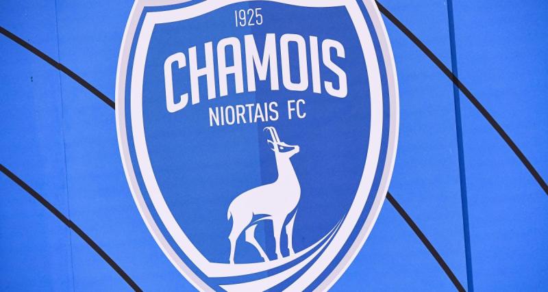  - Rétrogradé en N2, Niort va faire appel devant le CNOSF 