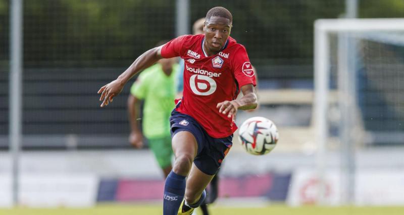  - LOSC : avant la Ligue des champions, répétition générale ce mardi soir pour les Dogues