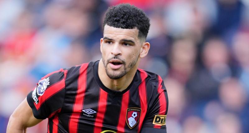  - Tottenham : Dominic Solanke rejoint les Spurs ! (Officiel) 