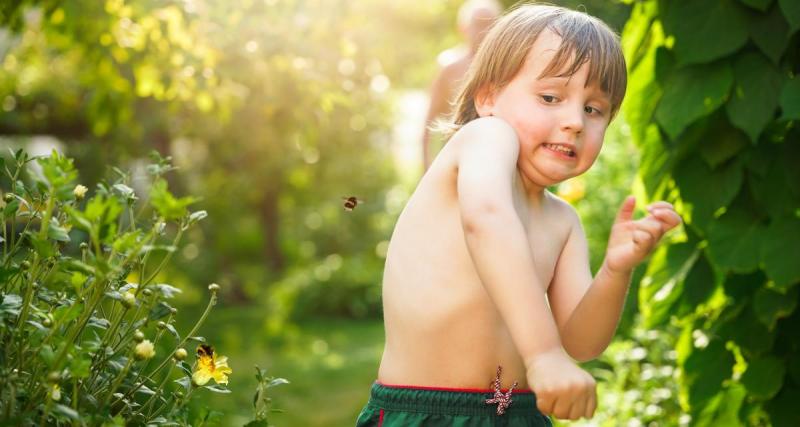  - Les bons gestes à connaître pour agir si votre enfant se fait piquer par un insecte tel qu'une guêpe, un frelon, ou un taon