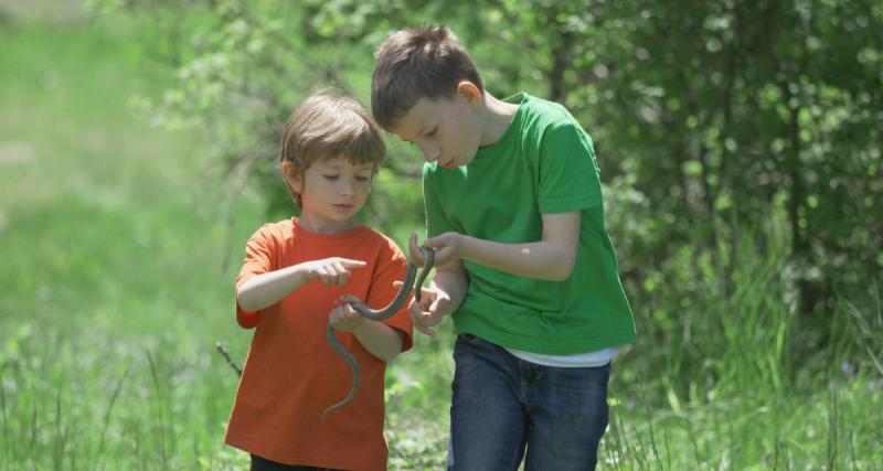  - Mon enfant s'est fait mordre par un serpent, quels sont les bons gestes et réflexes à avoir ? Suivez notre guide