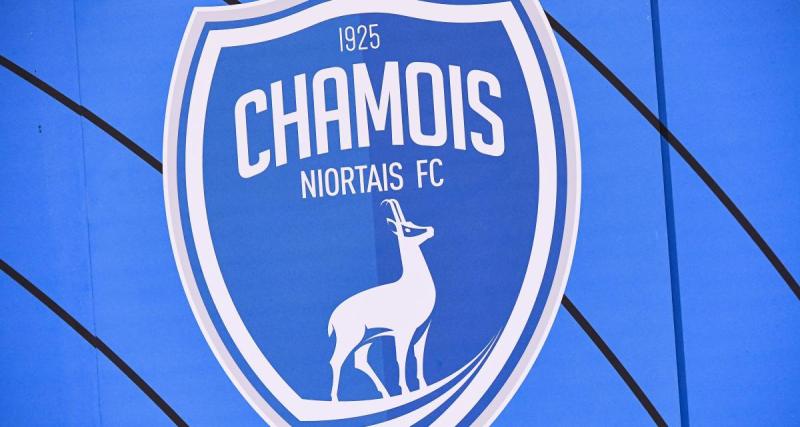  - Niort : les Chamois de retour, Coupe de France au programme