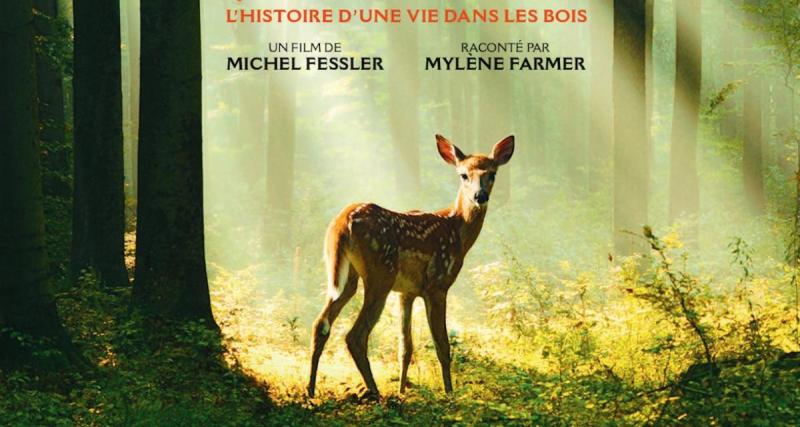  - À partir de quel âge puis-je emmener mes enfants voir Bambi au cinéma ?