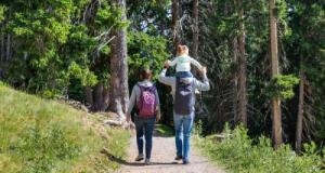 Tous nos conseils pour une balade dans les bois réussie avec vos enfants pendant les vacances de la Toussaint !