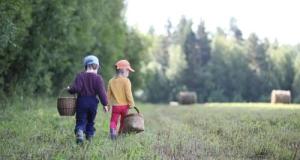 Attention aux tiques quand vous partez en forêt avec vos enfants : tous nos conseils