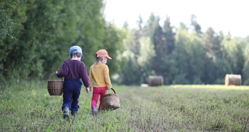  - Attention aux tiques quand vous partez en forêt avec vos enfants : tous nos conseils