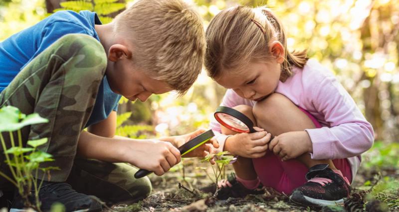  - Et si vous optiez pour des sorties en forêt pour occuper vos enfants pendant les vacances ?