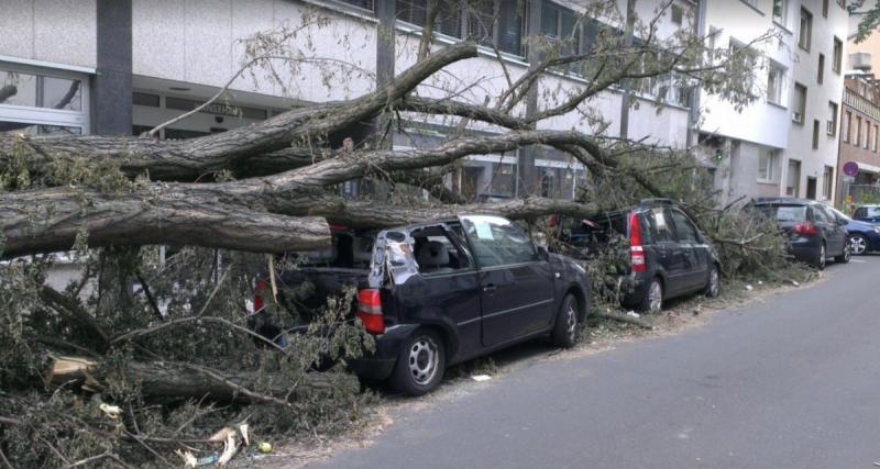  - Un arbre tombe sur une voiture, la conductrice s’en sort miraculeusement