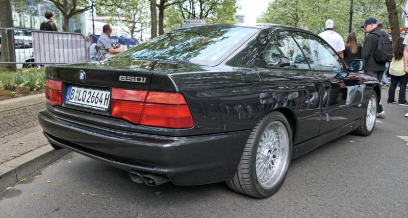  - Un élan détruit des BMW dans un garage automobile