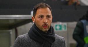 Domenico Tedesco n'est plus le sélectionneur de la Belgique ! (officiel)