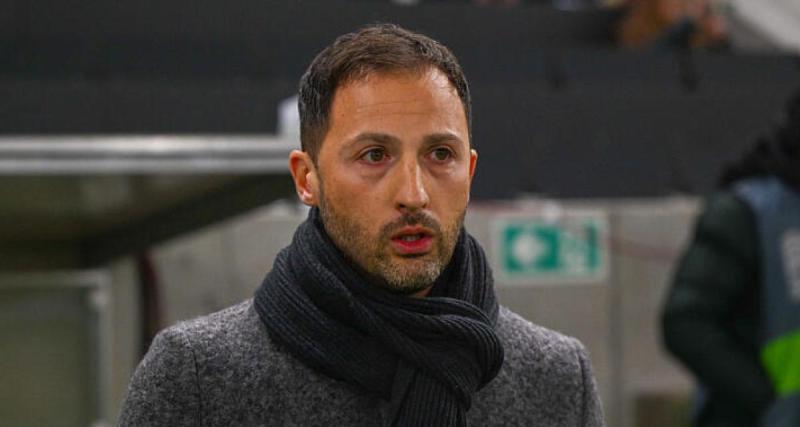  - Domenico Tedesco n'est plus le sélectionneur de la Belgique ! (officiel)