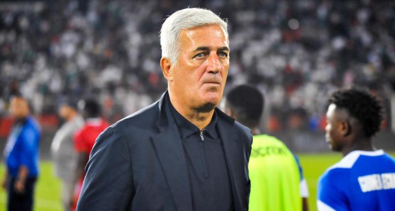  - Algérie : l'annonce forte de Petkovic après le tirage au sort de la CAN 