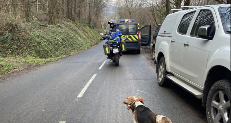  - Une Tesla explose les compteurs et son conducteur perd son permis dans la foulée