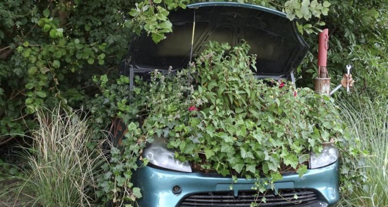  - Ivre, il atterrit dans un jardin après une chute de cinq mètres en voiture