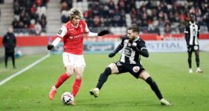 Angers - Reims : les compos probables