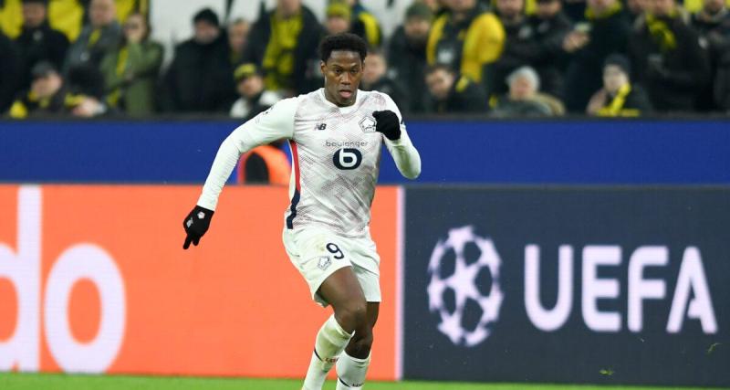 - Jonathan David (LOSC) : "Dortmund est habitué à ce genre de match, on ne part pas favoris"