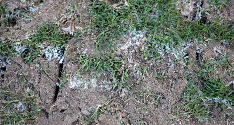  - Foot Amateur : un terrain saccagé par un véhicule en pleine nuit