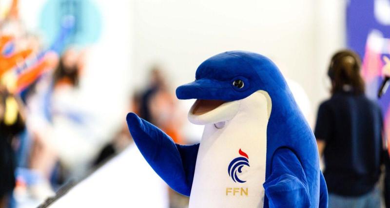  - Natation : La FFN dénonce le « mensonge » du ministère des sports dans l'affaire de la nomination du DTN