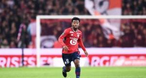 LOSC : Angel Gomes dans le viseur d'un cador de Ligue 1