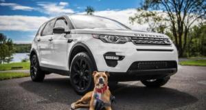 Déterminée, elle retrouve l’escroc qui a acheté sa voiture avec un chèque sans provision... Il finit en garde à vue