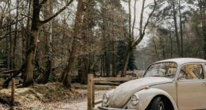 Quand une vieille VW devient une pièce d’or : 80 000 $ pour une Coccinelle qui vient d'une autre époque