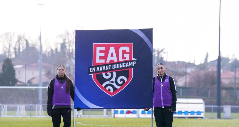  - DNCG : deux clubs de Ligue 1 passent sans encombre, tout comme Guingamp