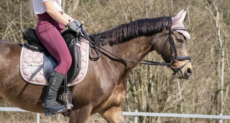  - Trompée par son GPS, elle se retrouve à cheval sur une voie rapide