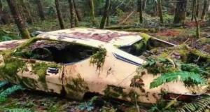 Un motard tombe sur une voiture de sport engloutie en pleine forêt : ce qu’il découvre est hallucinant