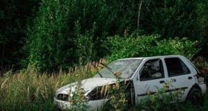 Il tente d’échapper aux gendarmes, sa voiture finit dans les buissons !