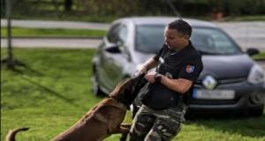 Un agent de Toulouse Métropole surpris en train de dealer depuis une voiture de service