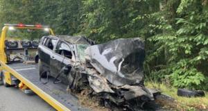 À 18 ans, avec un permis tout neuf, sa voiture finit sa route… contre un arbre plus solide que prévu