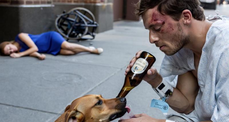 Ivre, il fait boire de l’alcool à son chien et percute sa femme après avoir quitté l’hôpital psychiatrique