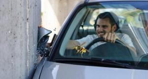 Une guêpe dans l’habitacle et le conducteur finit sa course… Dans un mur