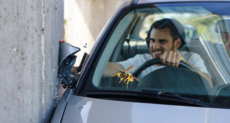  - Une guêpe dans l’habitacle et le conducteur finit sa course… Dans un mur
