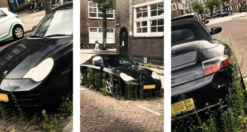  - Une Porsche 911 abandonnée avalée par la végétation à Amsterdam