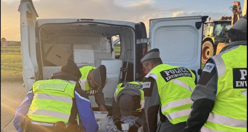  - Il tombe par hasard sur sa voiture volée et décide de courser les voleurs à vélo