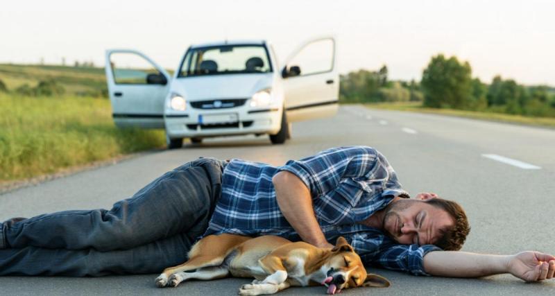  - Ivre, il s’endort au bord d’une nationale avec sa voiture sans permis et son chien sur le ventre