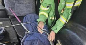 Au volant de sa voiture, il sent quelque chose à ses pieds… Un serpent venimeux surgit de nulle part