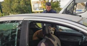 « Elle était enfermée depuis au moins une semaine » : des policiers sauvent une chienne laissée sans eau ni nourriture