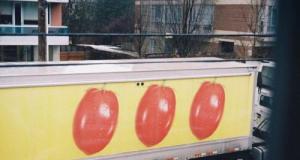 Il perd le contrôle de son camion… et déverse 27 tonnes de pommes sur la chaussée