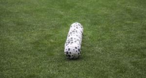 Coupe de France : Cellier-Mauves a trouvé son stade pour affronter Laval