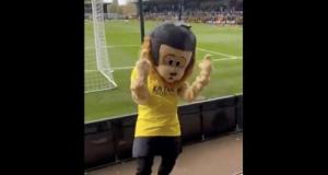 Insolite : ivre, une mascotte virée du stade en Angleterre !