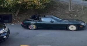 Un ours arrache le capot d’une Mazda sous l’oeil de son propriétaire et s’enfuit tranquillement