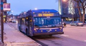 Un passager interpellé avec cannabis et couteau lors d’un contrôle surprise dans un car de transport