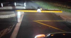 Une mystérieuse poutre métallique bloque totalement la route et affole les automobilistes