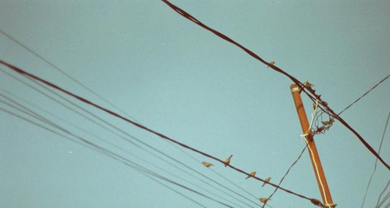  - Un conducteur perd le contrôle et percute un poteau électrique : la route coupée et des dizaines de foyers plongés dans le noir